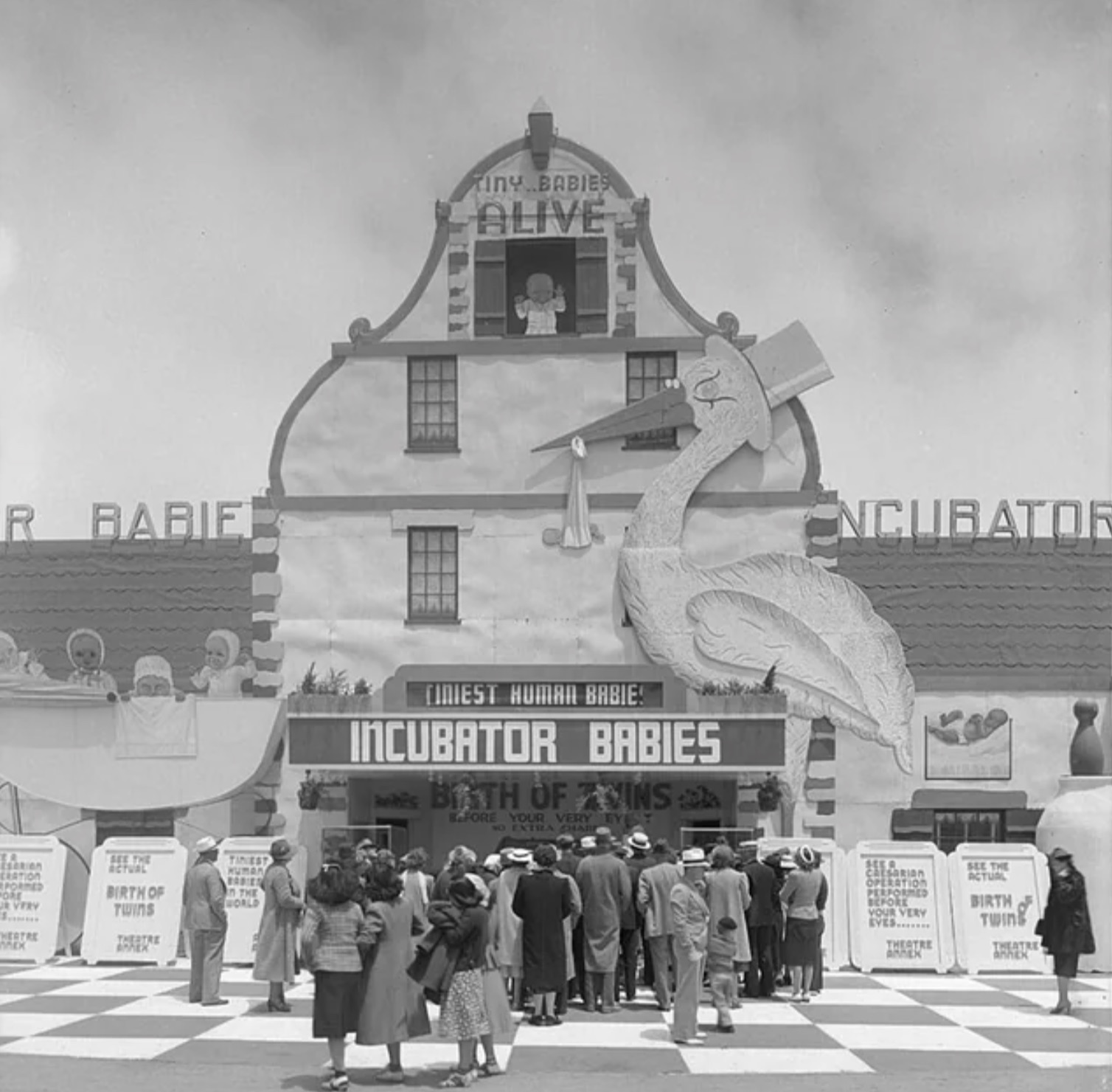 Golden Gate Exposition in San Francisco featured incubator babies, 1939 